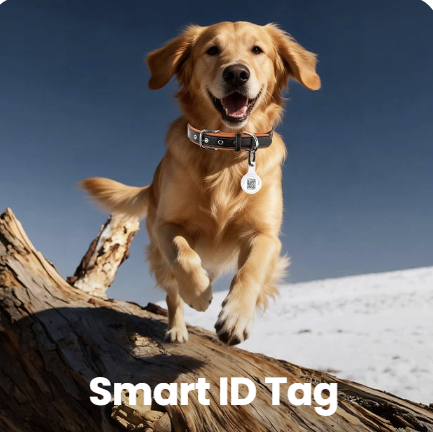 Smart ID Tag