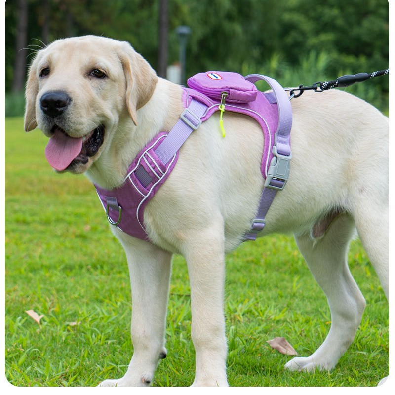 "Double-lock explosion-proof buckle · Triple anti-escape | Military-grade reflective chest harness for medium to large dogs, the 'active safety system' for outdoor walks"