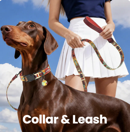 Collar & Leash