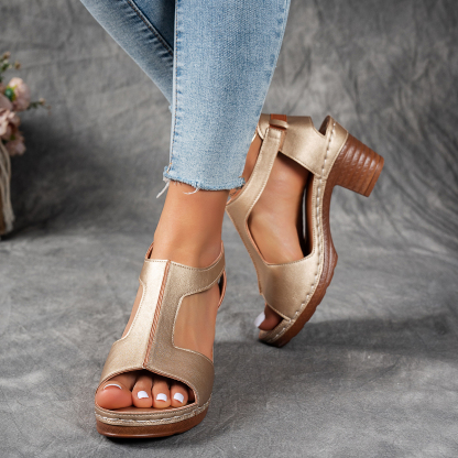 Women's Fashion Non-Slip Thick Wedge Sandals