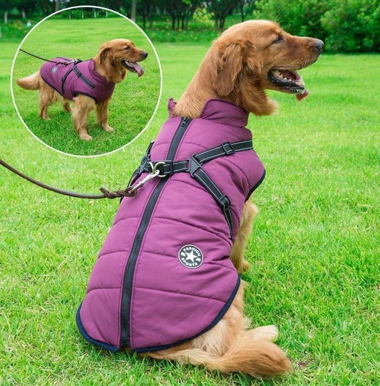 Waterproof Winter Jacket with Built-in Harness