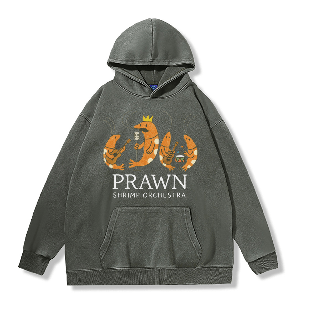 PRAWN SHRIMP ORCHESTRA Unisex Vintage Washed Hoodie Band Graphic Pullover - Dark Green - 2XL - image 4