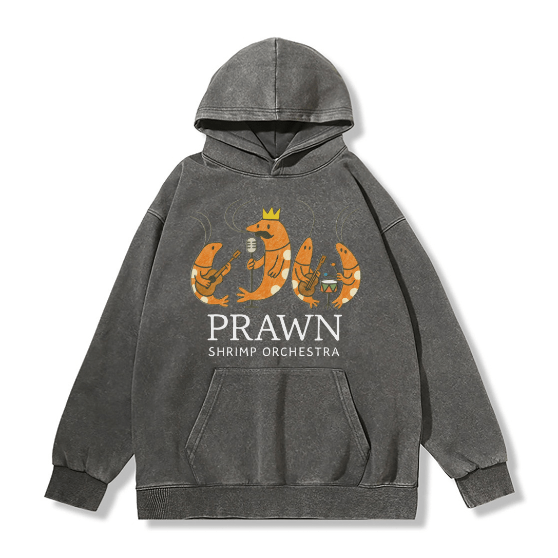 PRAWN SHRIMP ORCHESTRA Unisex Vintage Washed Hoodie Band Graphic Pullover - Grey - 2XL - image 5