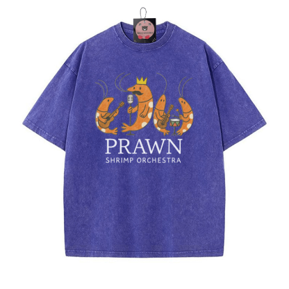Garnelen Garnelen Orchester Vintage gewaschen T-shirt - Blau - 5XL - image 4