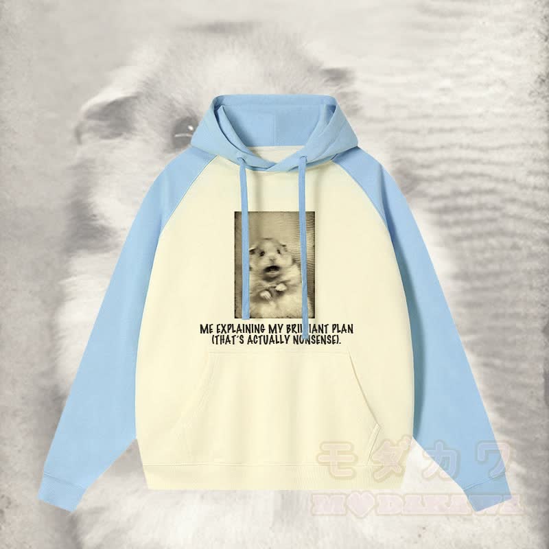 ICH ERKLÄRE MEINEN BRILLANTEN PLAN, DER EIGENTLICH UNSINN IST. Schockierender Streetwear-Hoodie mit Mausgrafik und Farben - Blau - 3XL - image 2