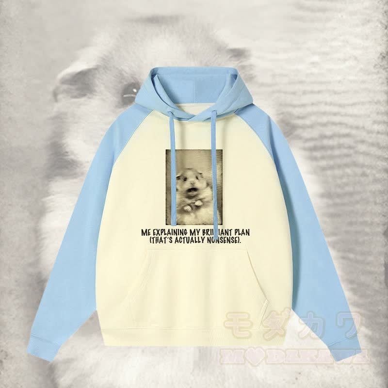 ICH ERKLÄRE MEINEN BRILLANTEN PLAN, DER EIGENTLICH UNSINN IST. Schockierender Streetwear-Hoodie mit Mausgrafik und Farben - Blau - 3XL - image 2