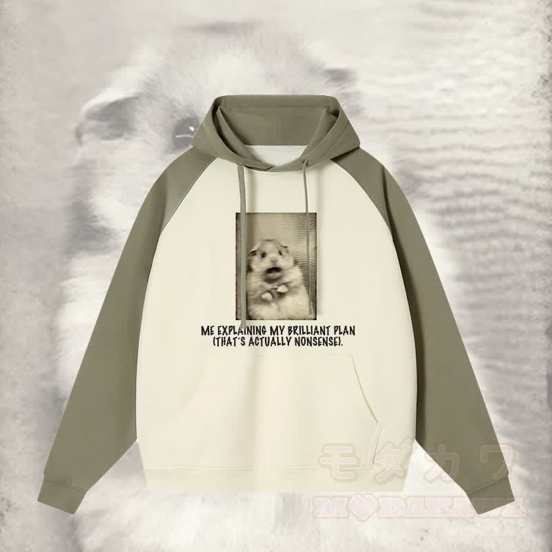 ICH ERKLÄRE MEINEN BRILLANTEN PLAN, DER EIGENTLICH UNSINN IST. Schockierender Streetwear-Hoodie mit Mausgrafik und Farben - Grün - 3XL - image 1