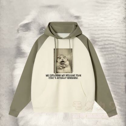 ICH ERKLÄRE MEINEN BRILLANTEN PLAN, DER EIGENTLICH UNSINN IST. Schockierender Streetwear-Hoodie mit Mausgrafik und Farben - Grün - 3XL - image 1