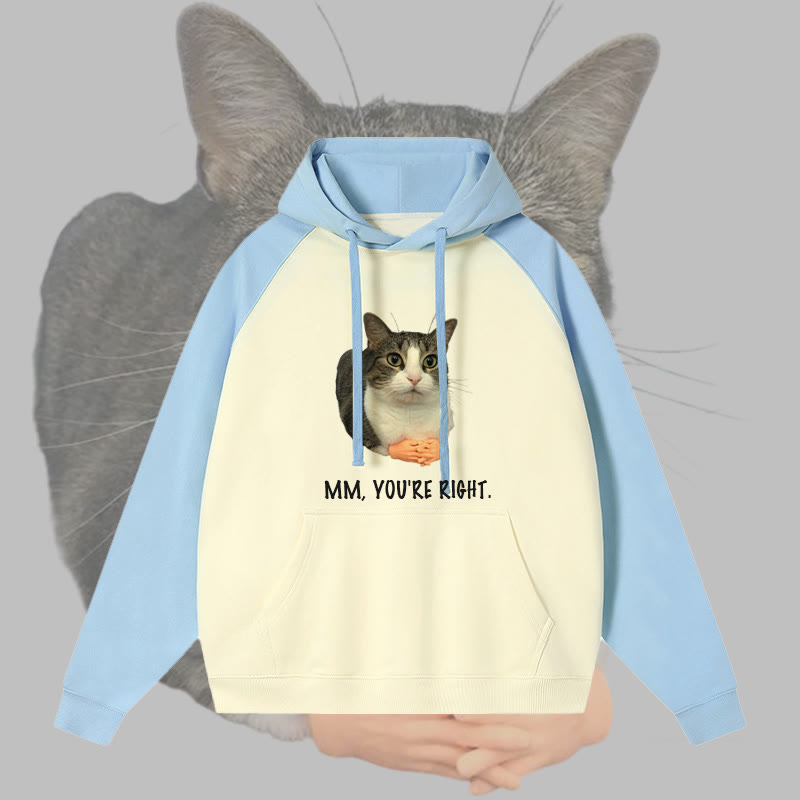 MM, du hast recht! Katzen-Grafik-Streetwear Farben -Hoodie - Blue - 3XL - image 1
