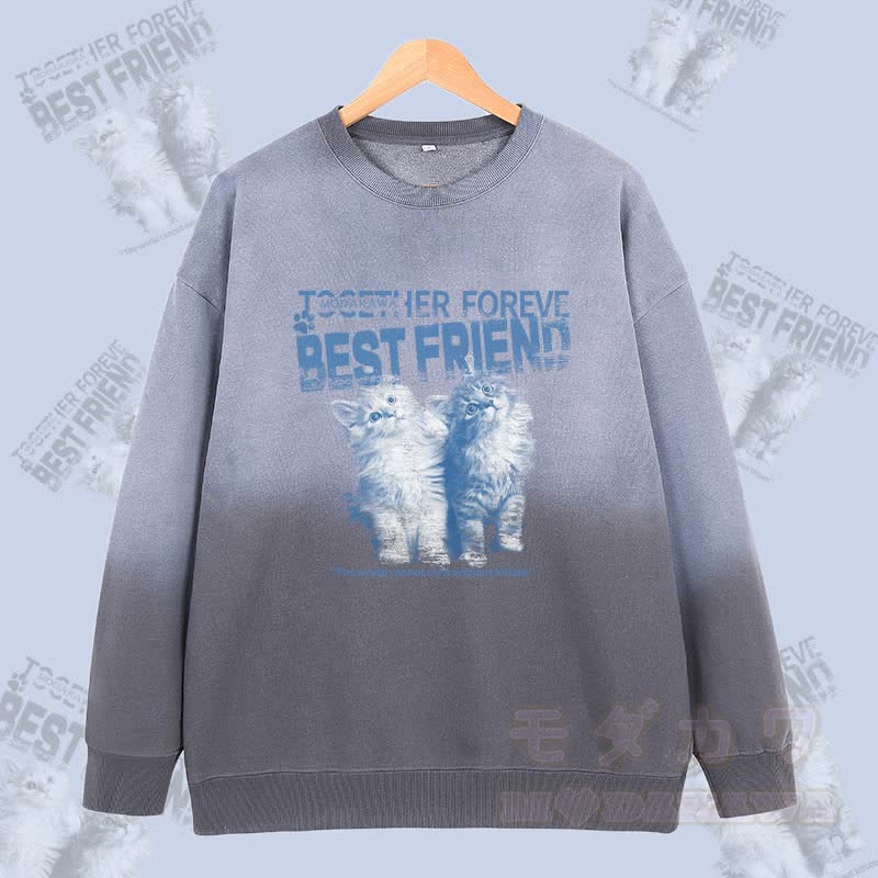 MODAKAWA BEST FRIEND Katzen-Sweatshirt mit Vintage-Waschung und Farbverlauf, Unisex - Grau - 2XL - image 1
