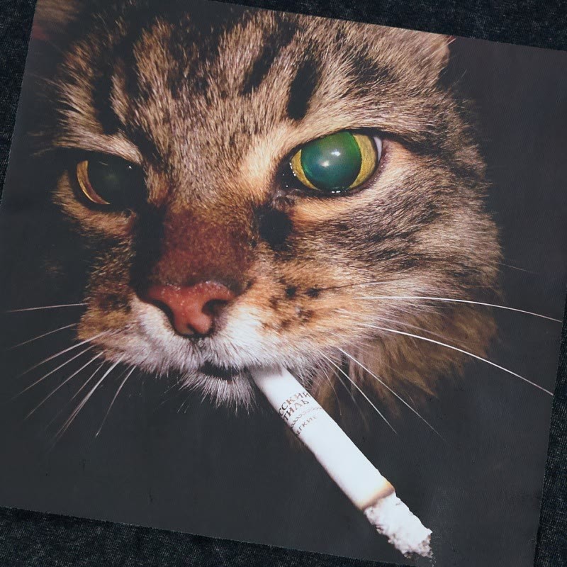 Unisex-T-Shirt mit Raucherkatzen-Motiv im Vintage-Stil - image 2