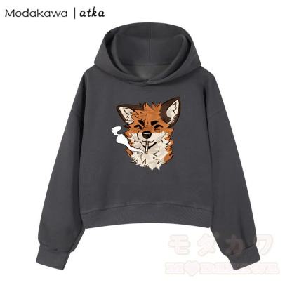 MODAKAWA X atka Cool Fox Graphic Cropped Cotton Hoodie - Dunkelgrau - 3XL - image 1