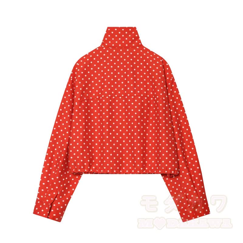 Zweiteiliges Set aus gepunkteter Stehkragenjacke und Shorts - image 3