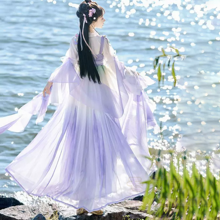 Zweiteiliges Set aus Hanfu-Oberteil und -Kleid mit Schmetterlingsmotiv - image 9