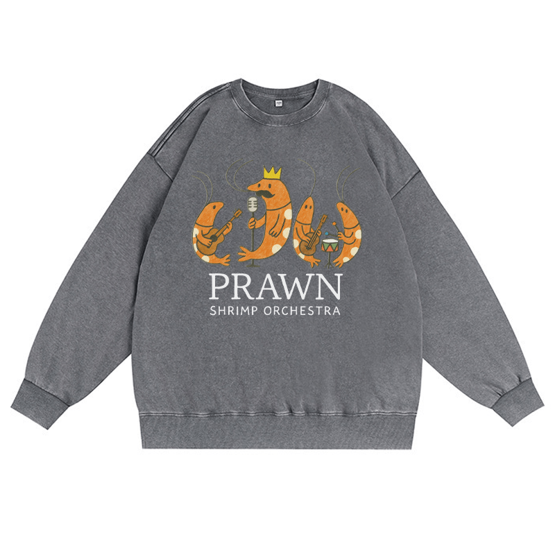 PRAWN SHRIMP ORCHESTRA Unisex Vintage gewaschen Sweatshirt Band Grafik Crewneck Pullover - Grau - 3XL - image 4
