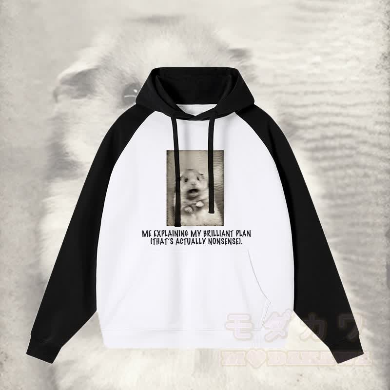 ICH ERKLÄRE MEINEN BRILLANTEN PLAN, DER EIGENTLICH UNSINN IST. Schockierender Streetwear-Hoodie mit Mausgrafik und Farben - Schwarz - 3XL - image 3