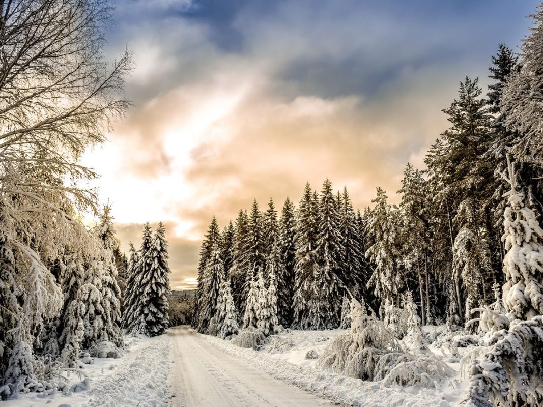 Winter