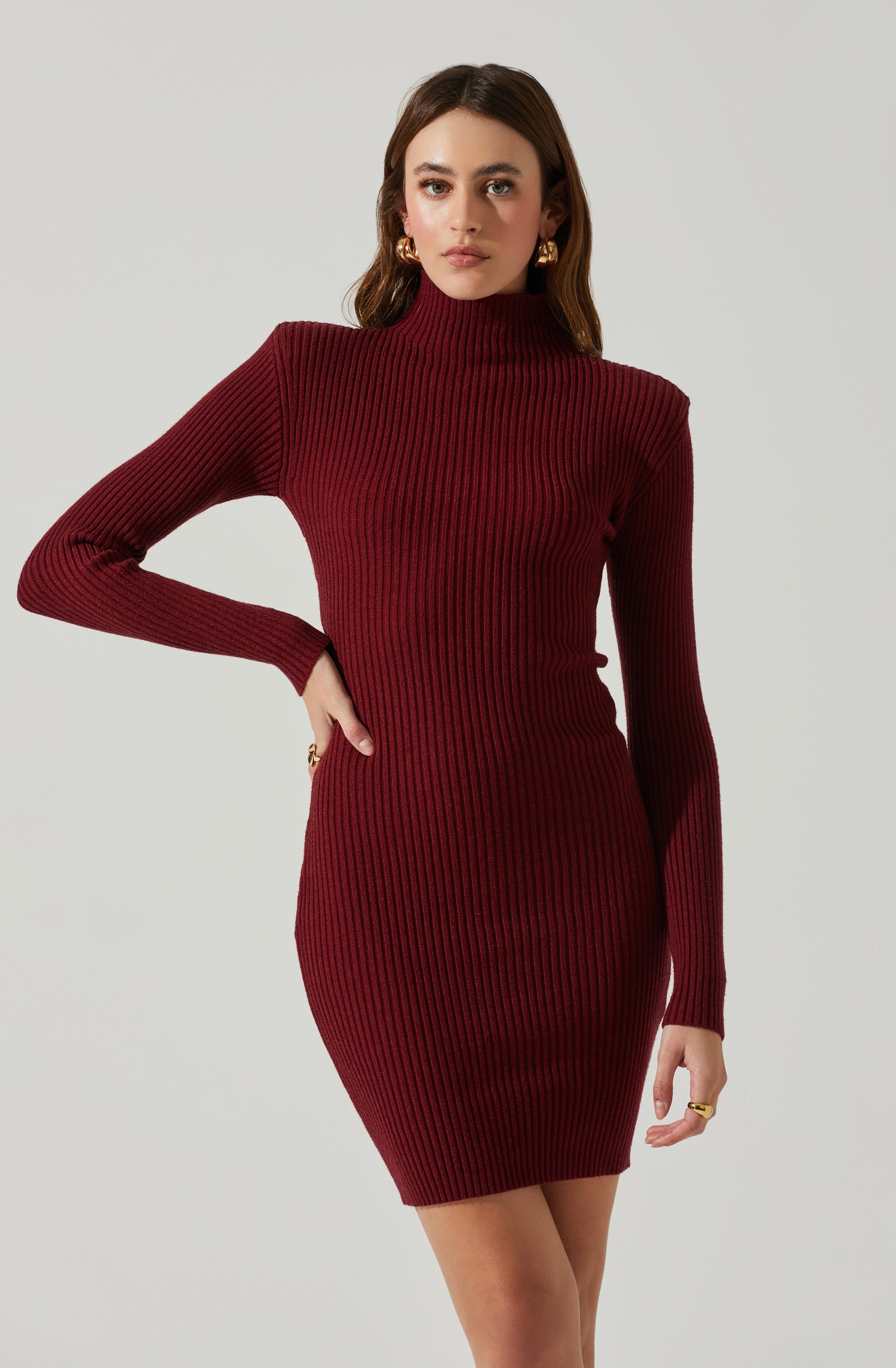 Gwendolyn Turtleneck Sweater Mini Dress-Aljck