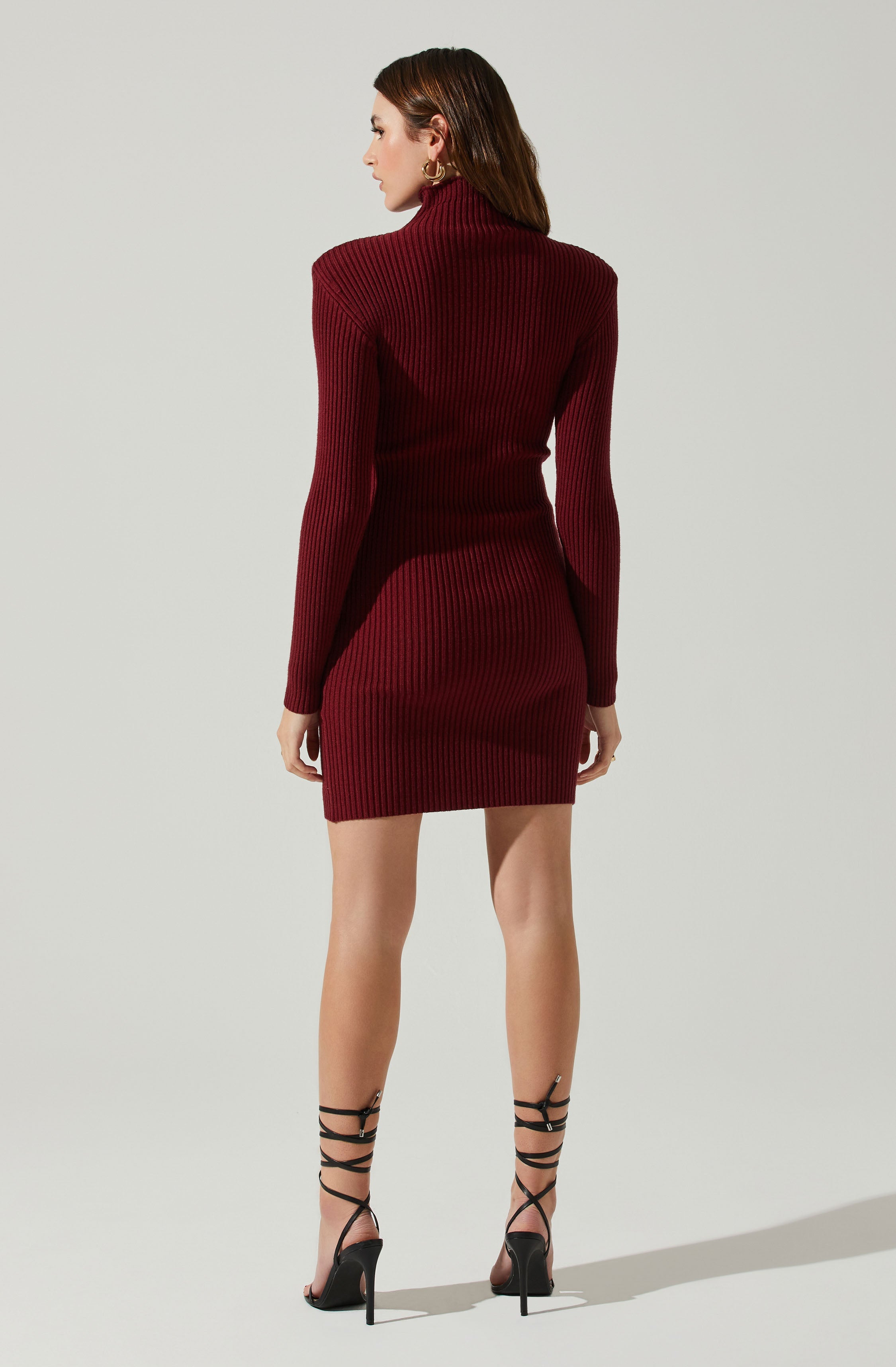 Gwendolyn Turtleneck Sweater Mini Dress-Aljck