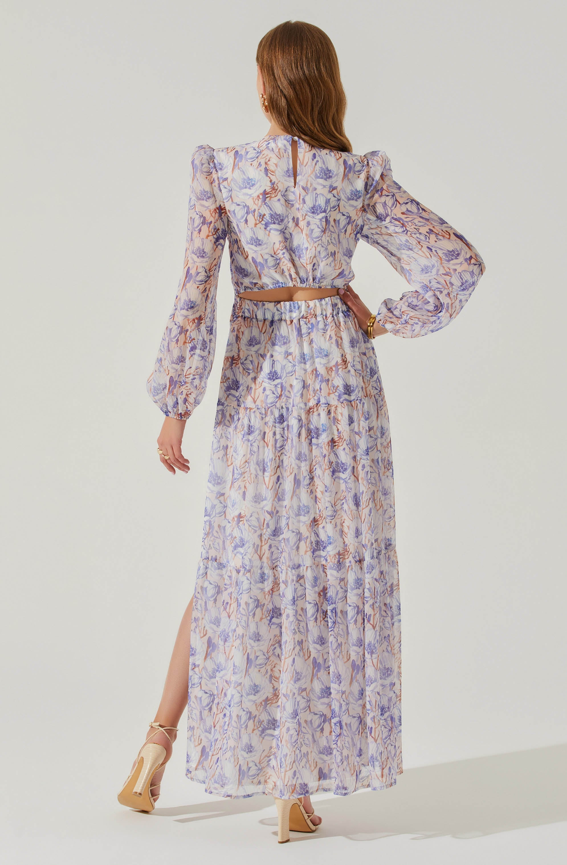 Seona Floral Long Sleeve Maxi Dress-Aljck