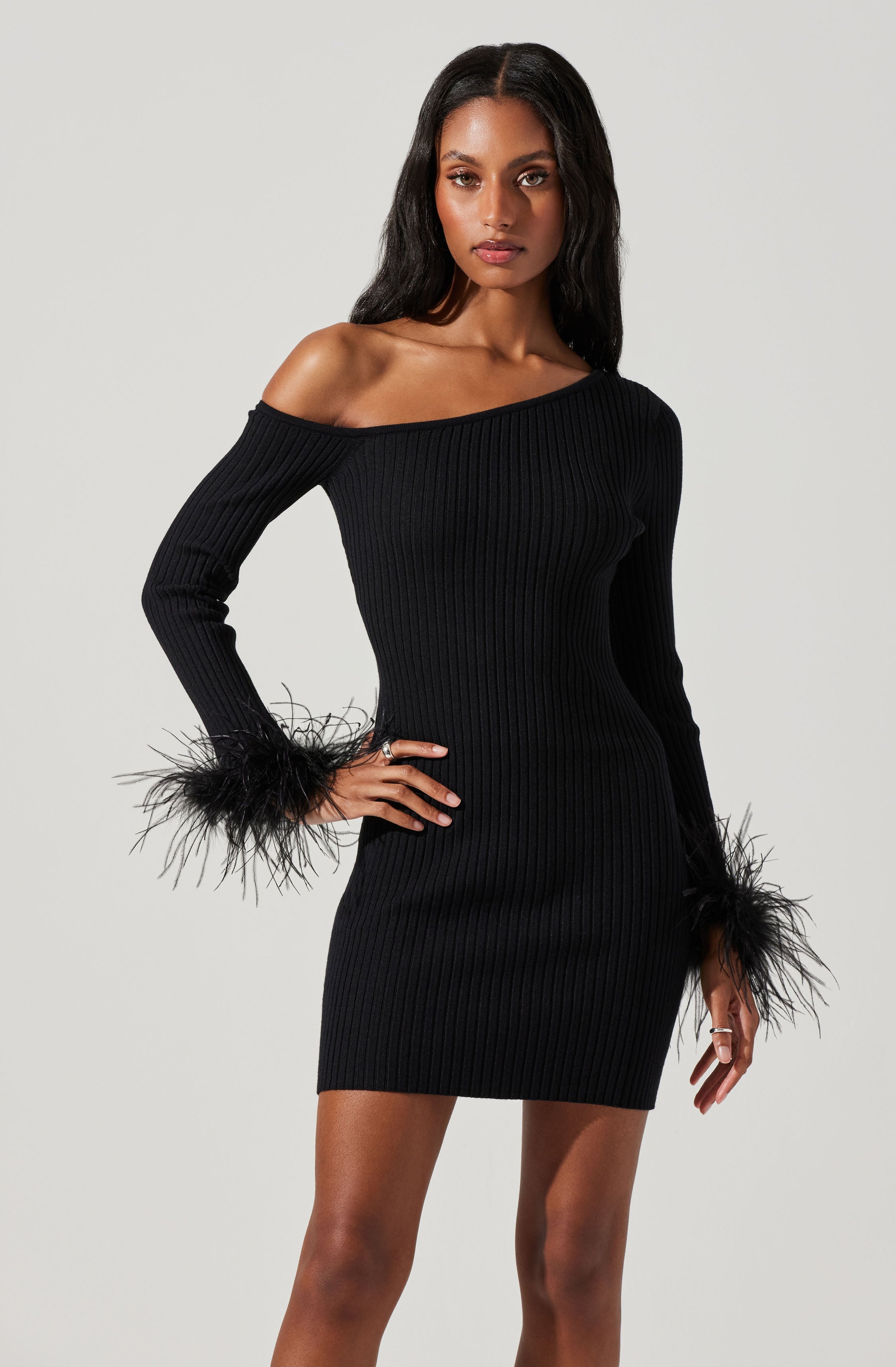 Liz Off Shoulder Feather Trim Mini Sweater Dress-Aljck