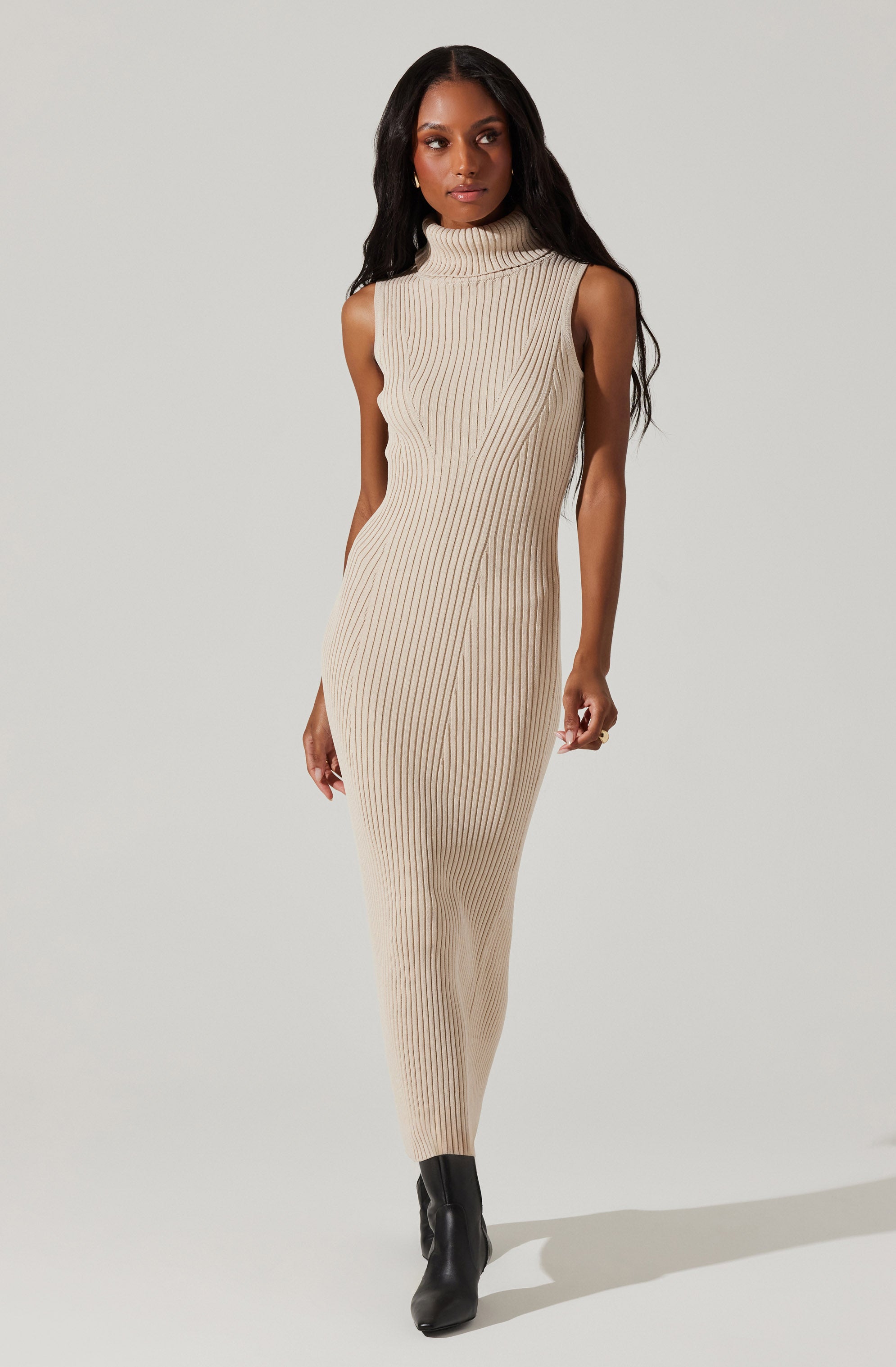 Channary Sleeveless Turtleneck Sweater Dress-Aljck