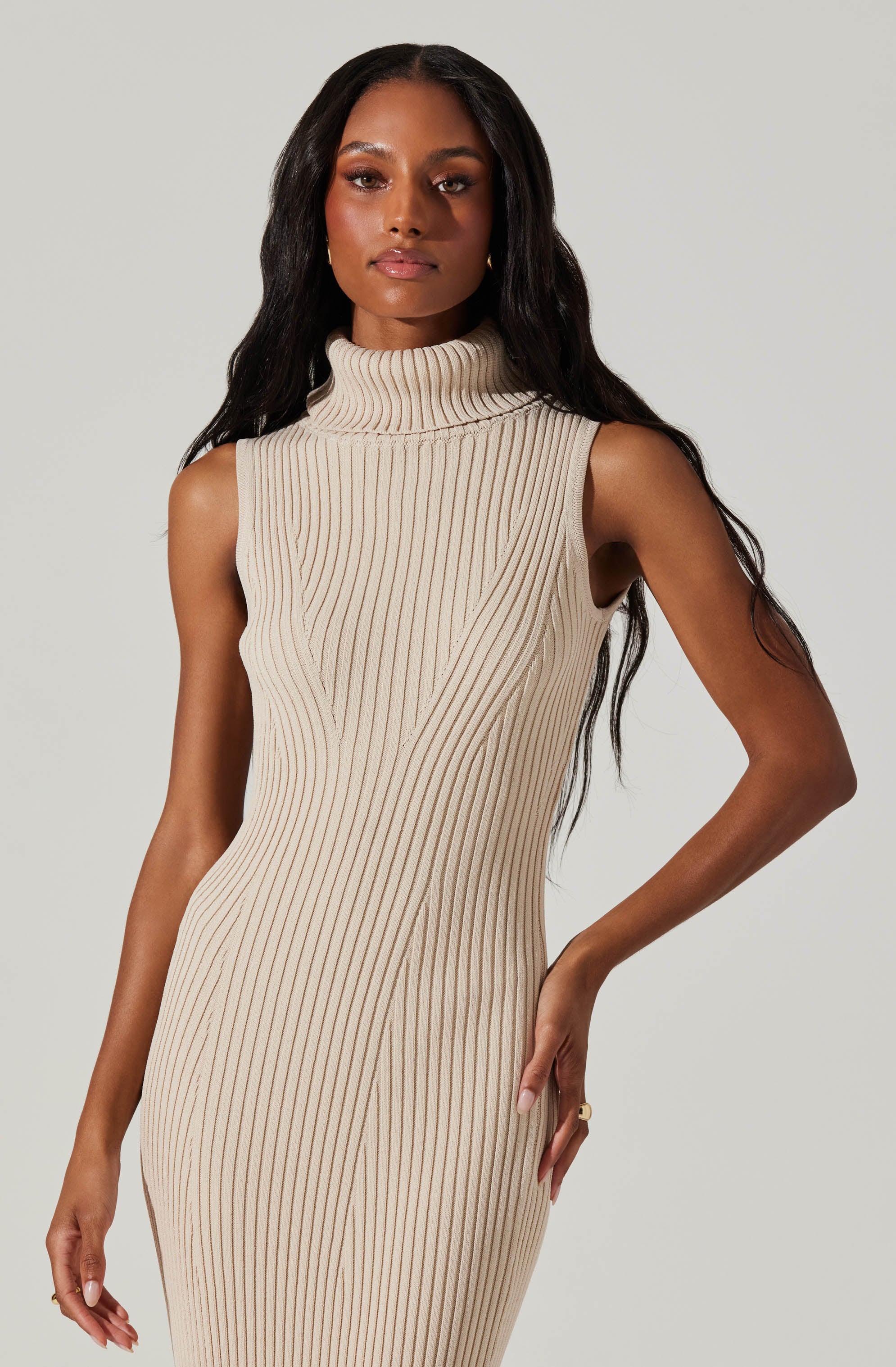 Channary Sleeveless Turtleneck Sweater Dress-Aljck