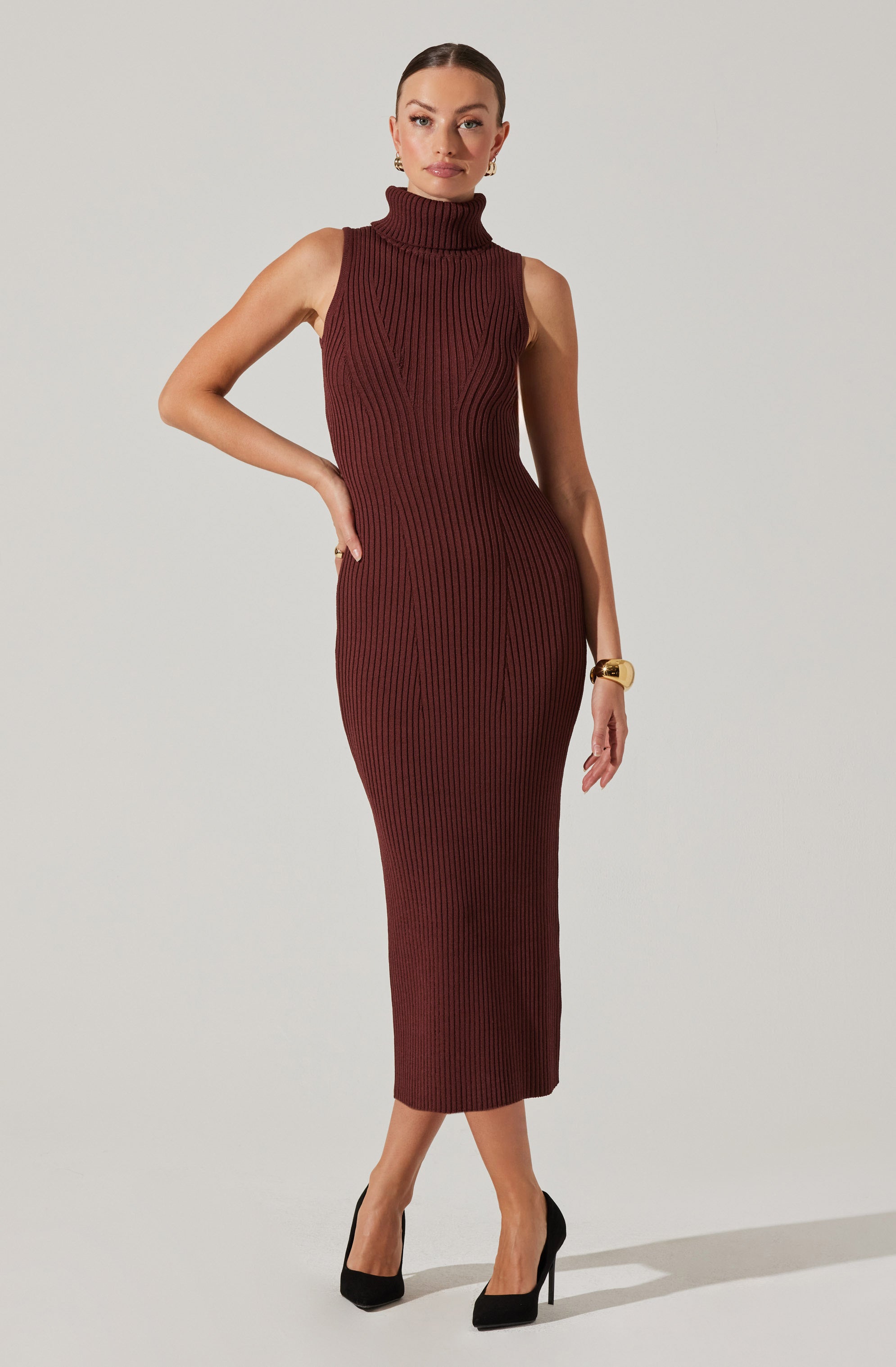 Channary Sleeveless Turtleneck Sweater Dress-Aljck