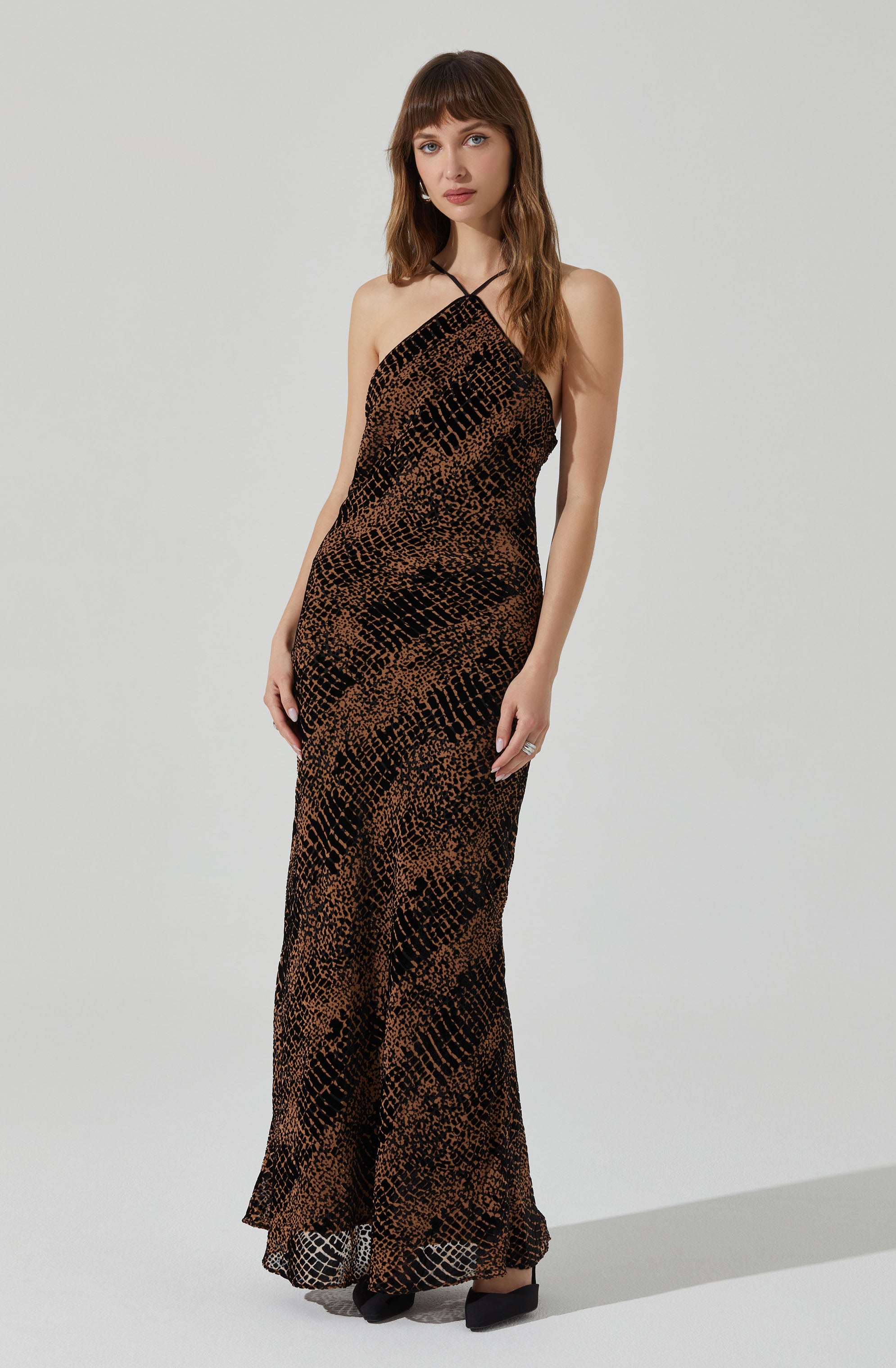 Briotte Velvet Burnout Maxi Dress-Aljck