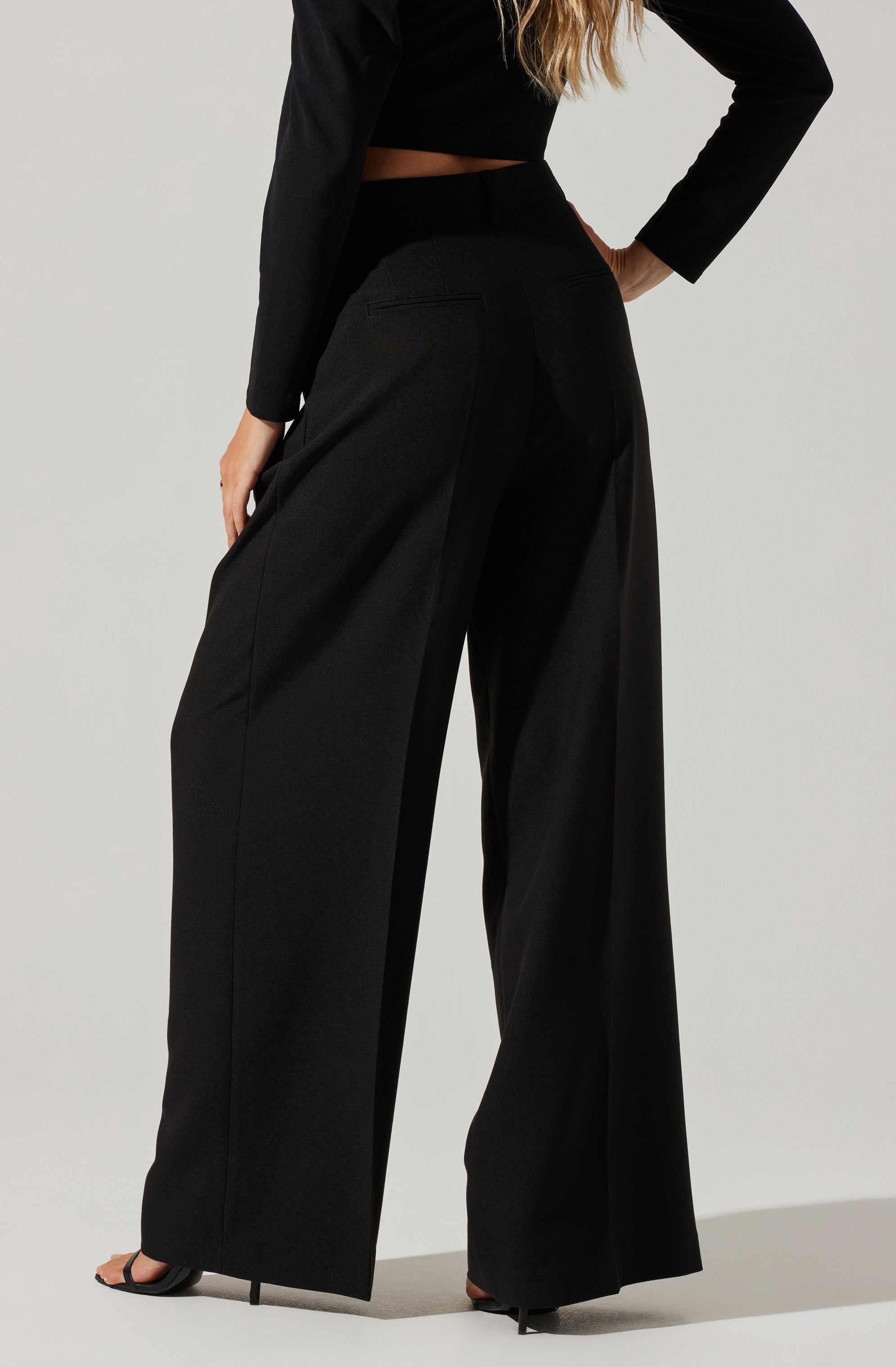 Milani Wide Leg Trouser Pants-Aljck