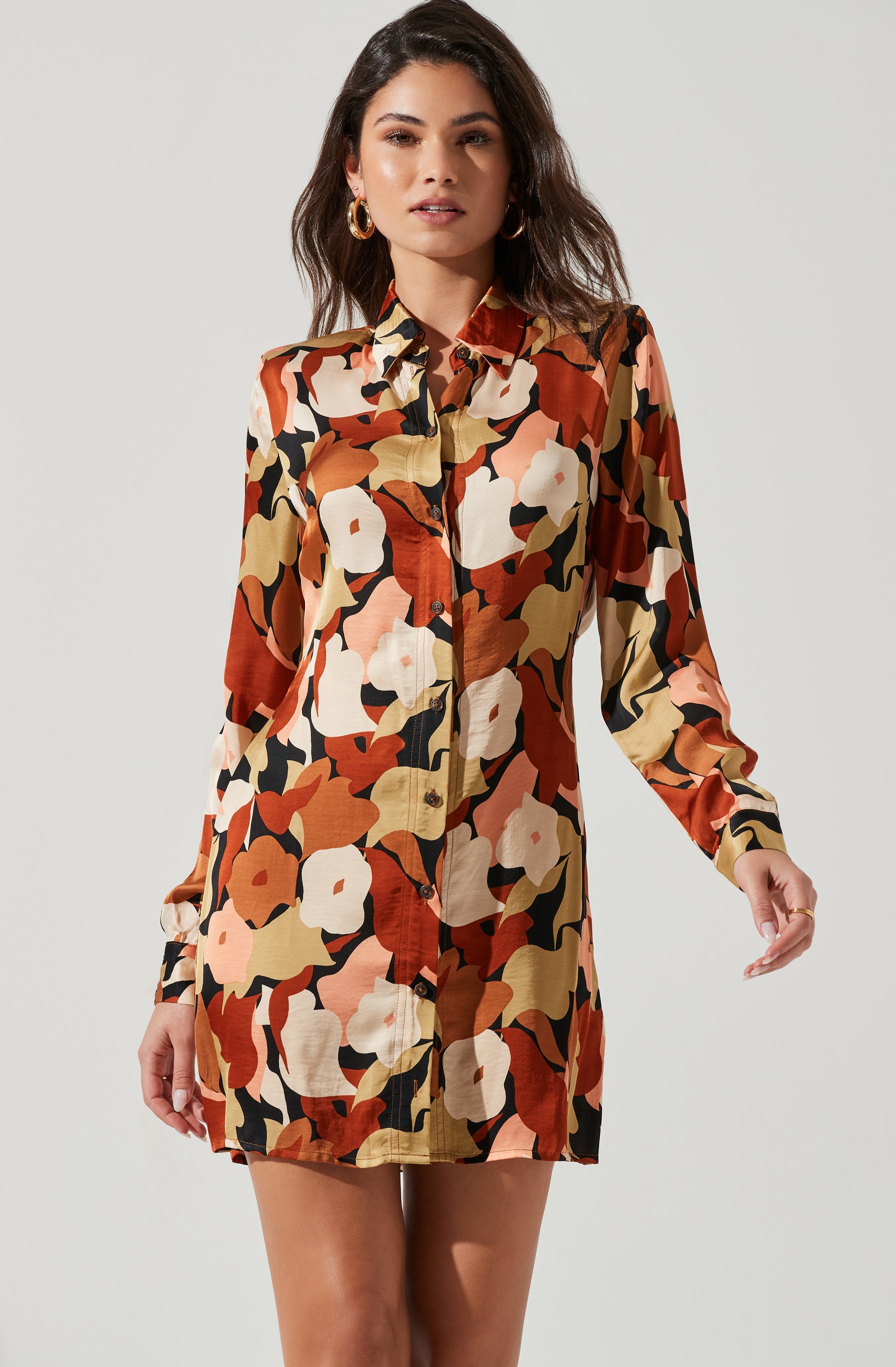 Retro Abstract Print Long Sleeve Mini Dress-Aljck