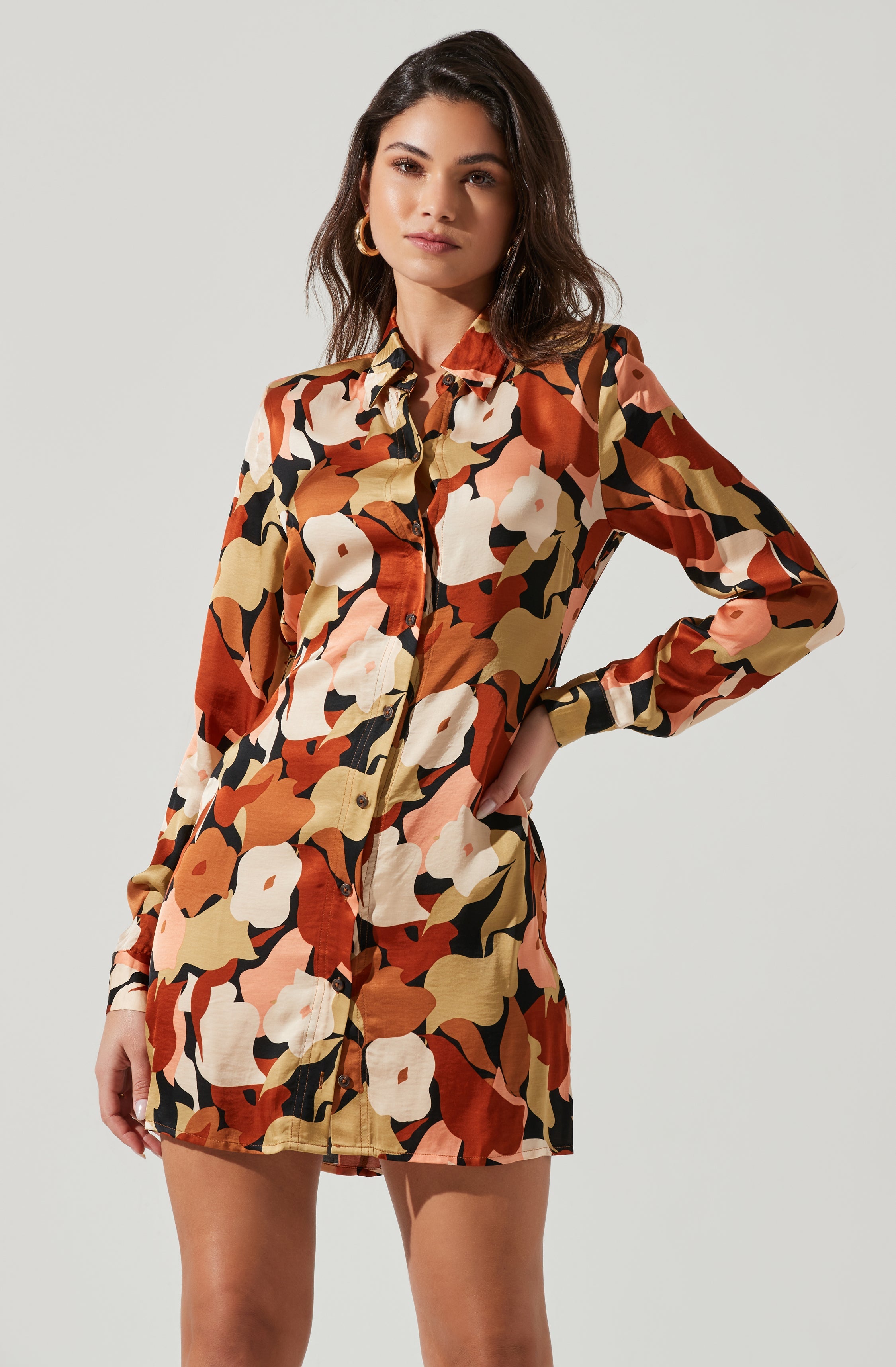 Retro Abstract Print Long Sleeve Mini Dress-Aljck