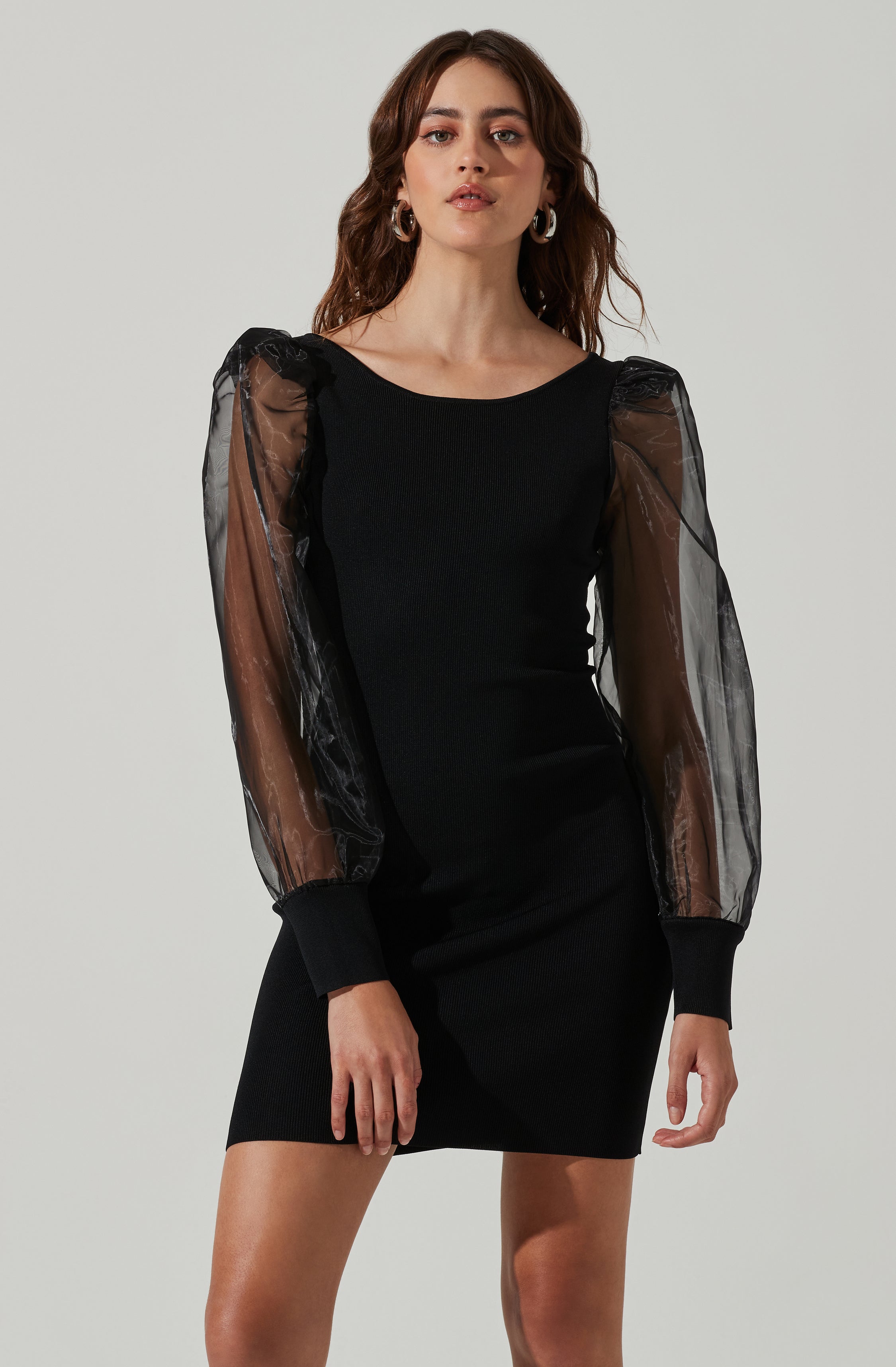 Organza Long Sleeve Mini Dress-Aljck