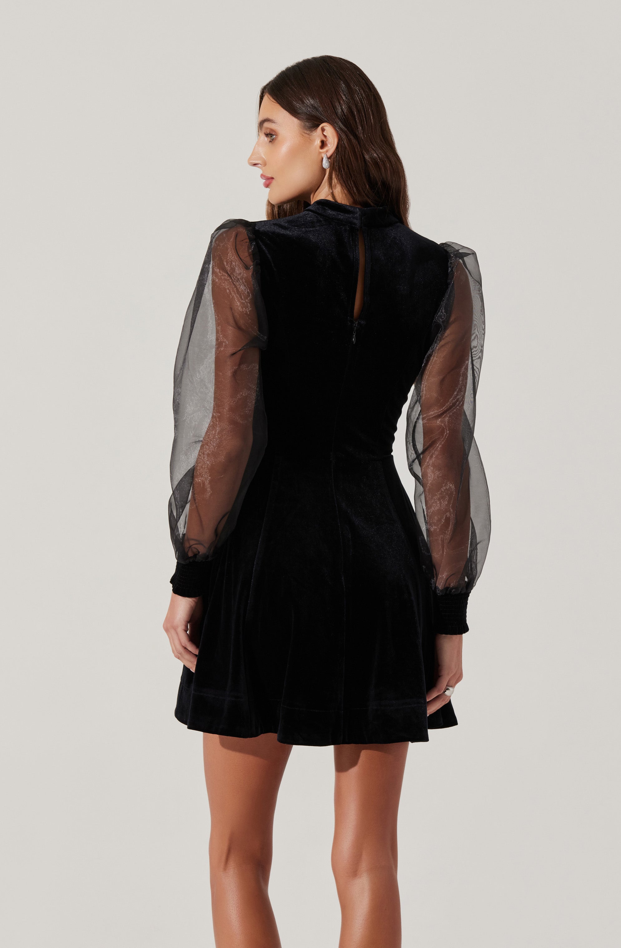 Velvet Sheer Puff Sleeve Dress-Aljck