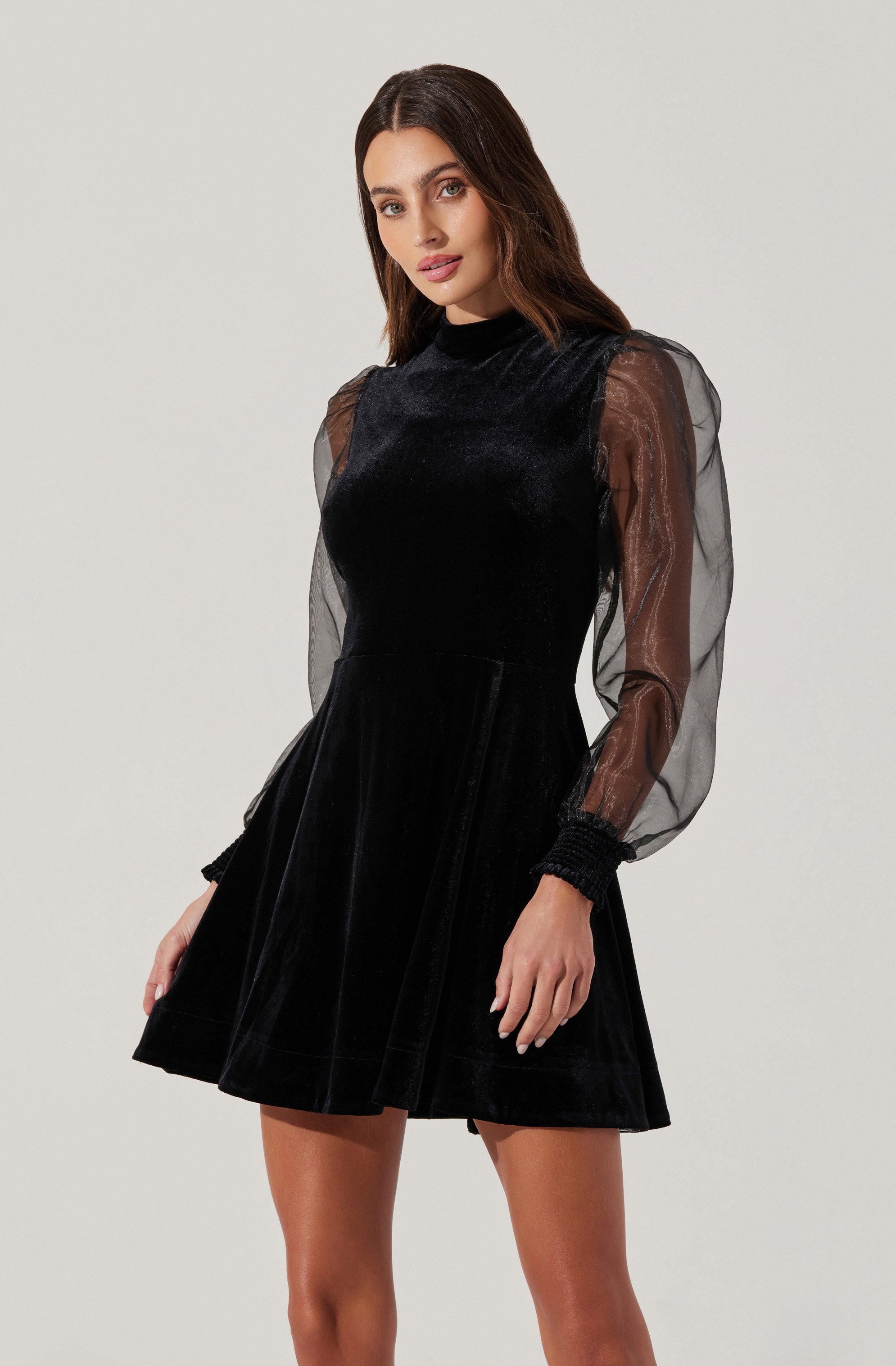 Velvet Sheer Puff Sleeve Dress-Aljck