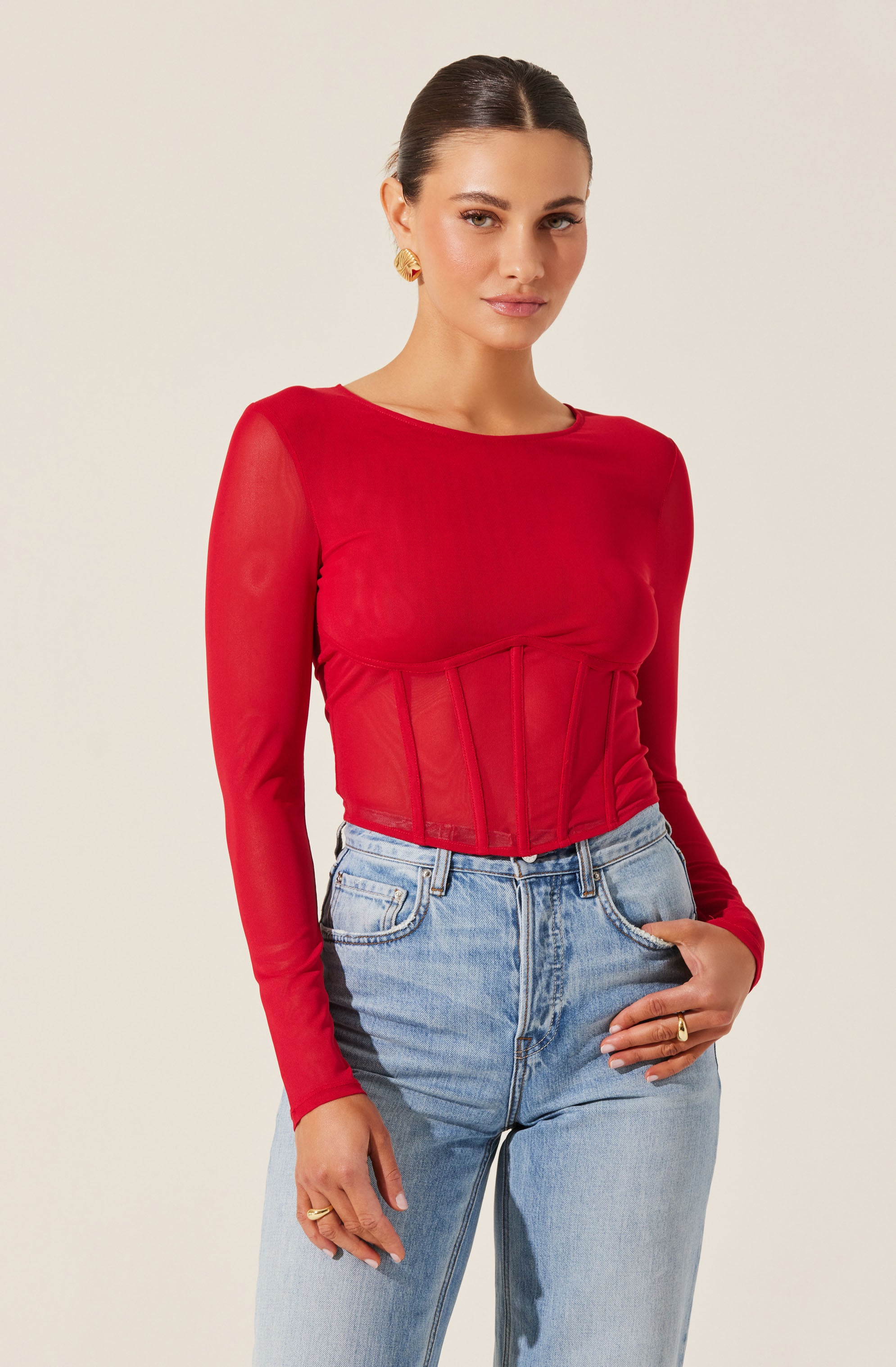 Long Sleeve Mesh Corset Top-Aljck