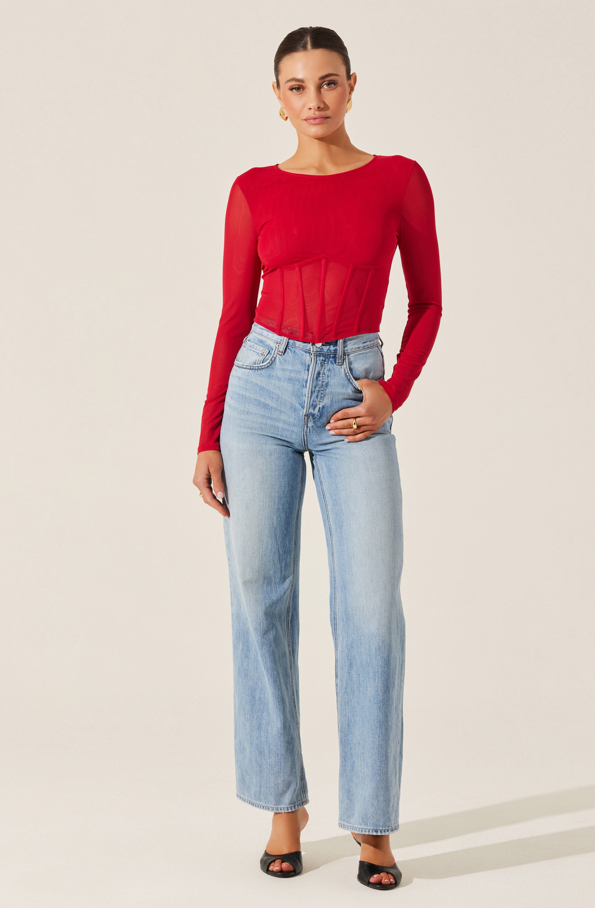 Long Sleeve Mesh Corset Top-Aljck