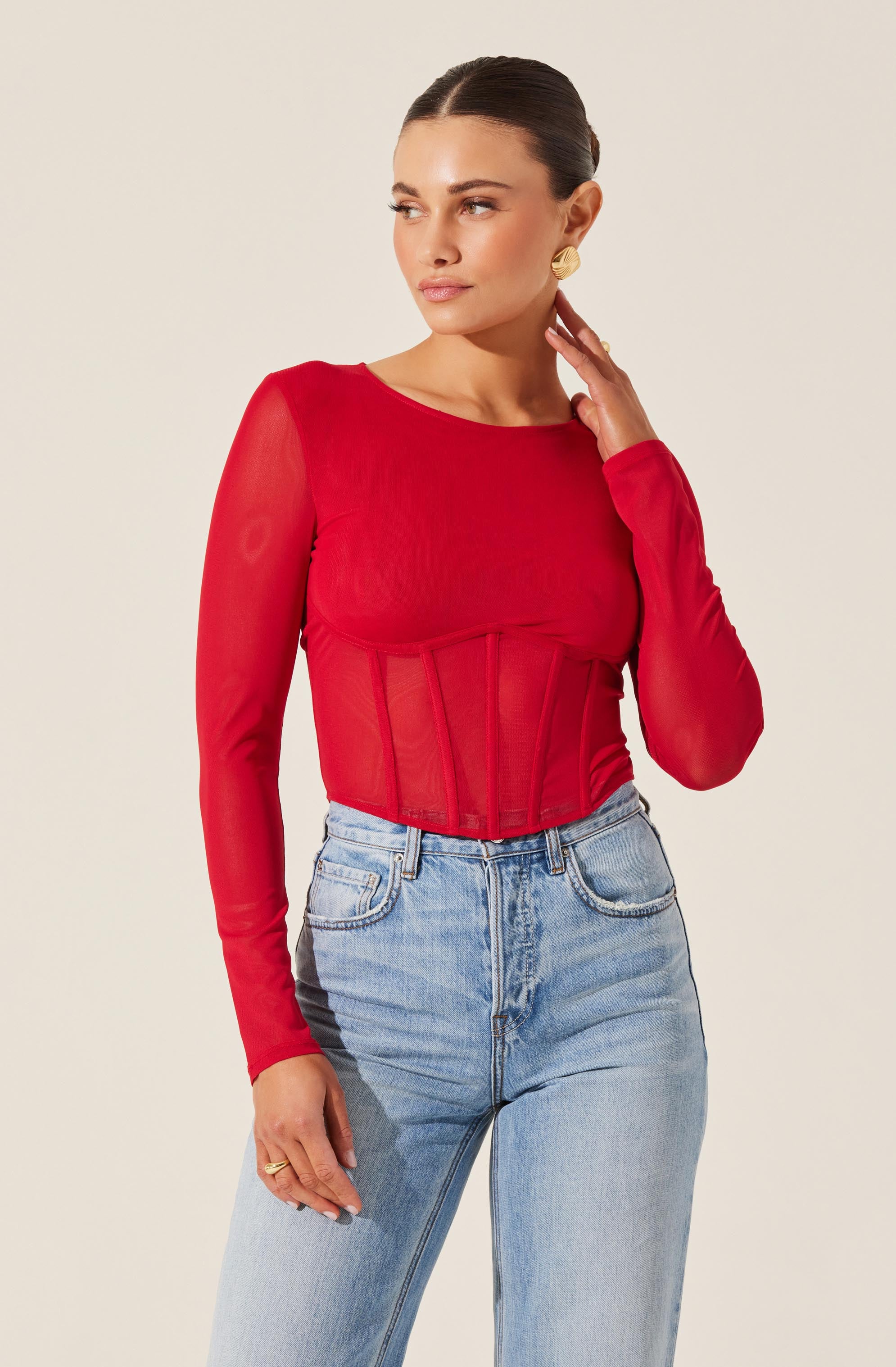 Long Sleeve Mesh Corset Top-Aljck