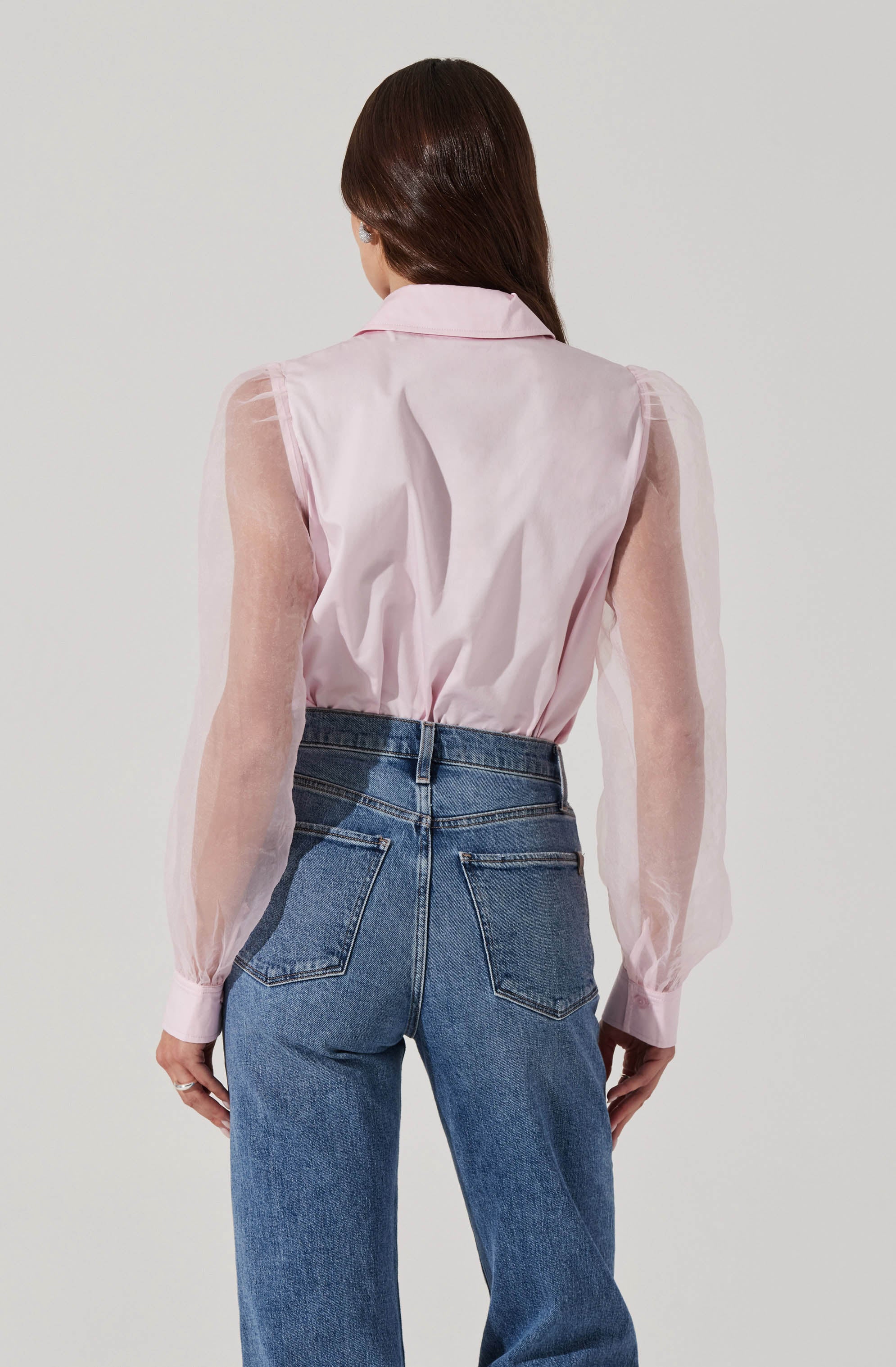 Sheer sleeve blouse-Aljck