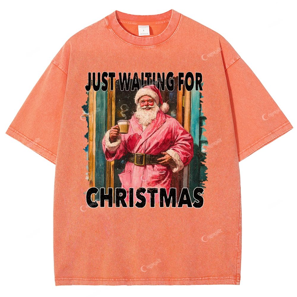 Unisex Santa Claus Printed Washed Tee