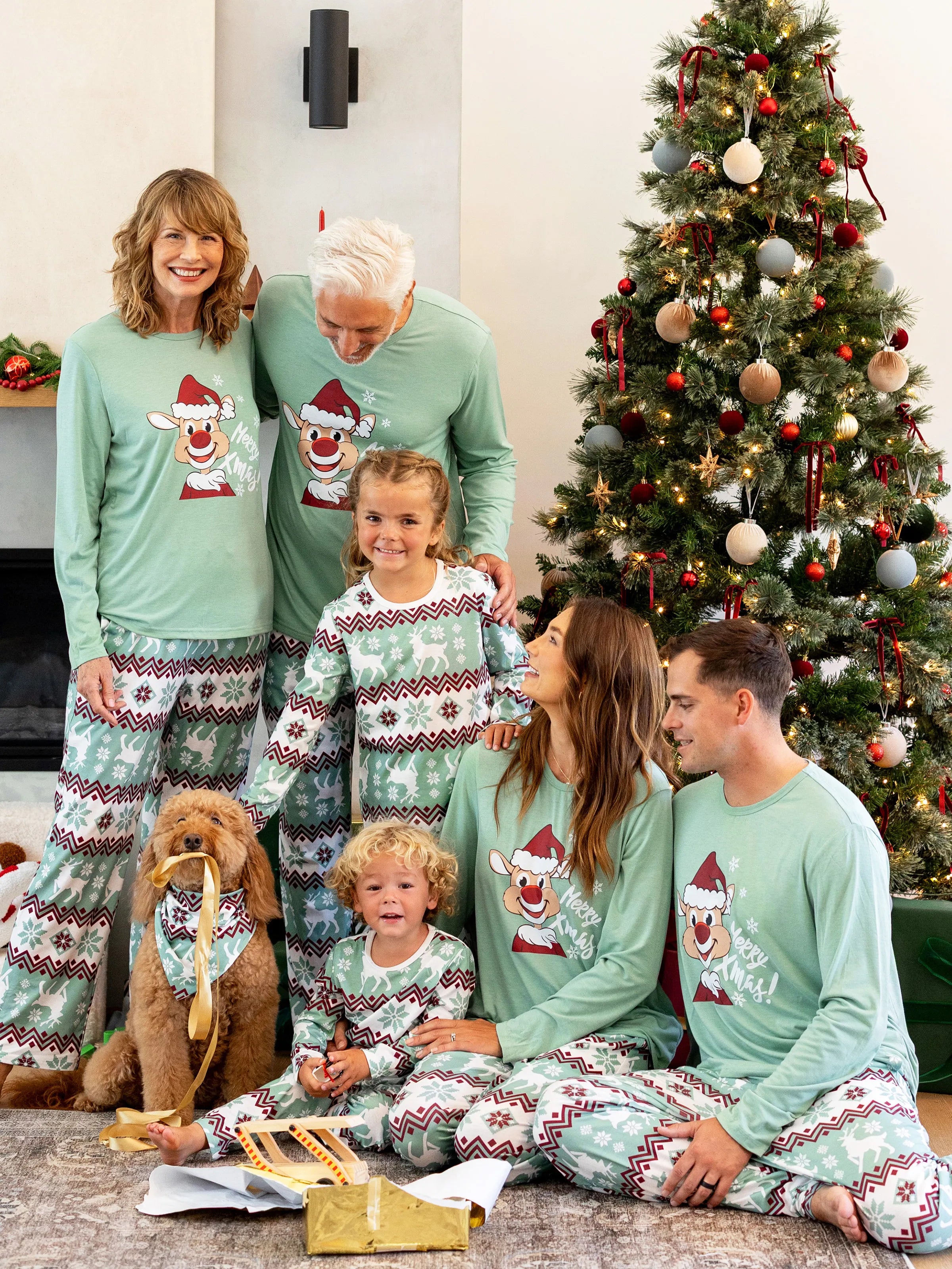 Christmas Matching Family Pajamas Set Christmas Spirit and Snowflake Print PJS