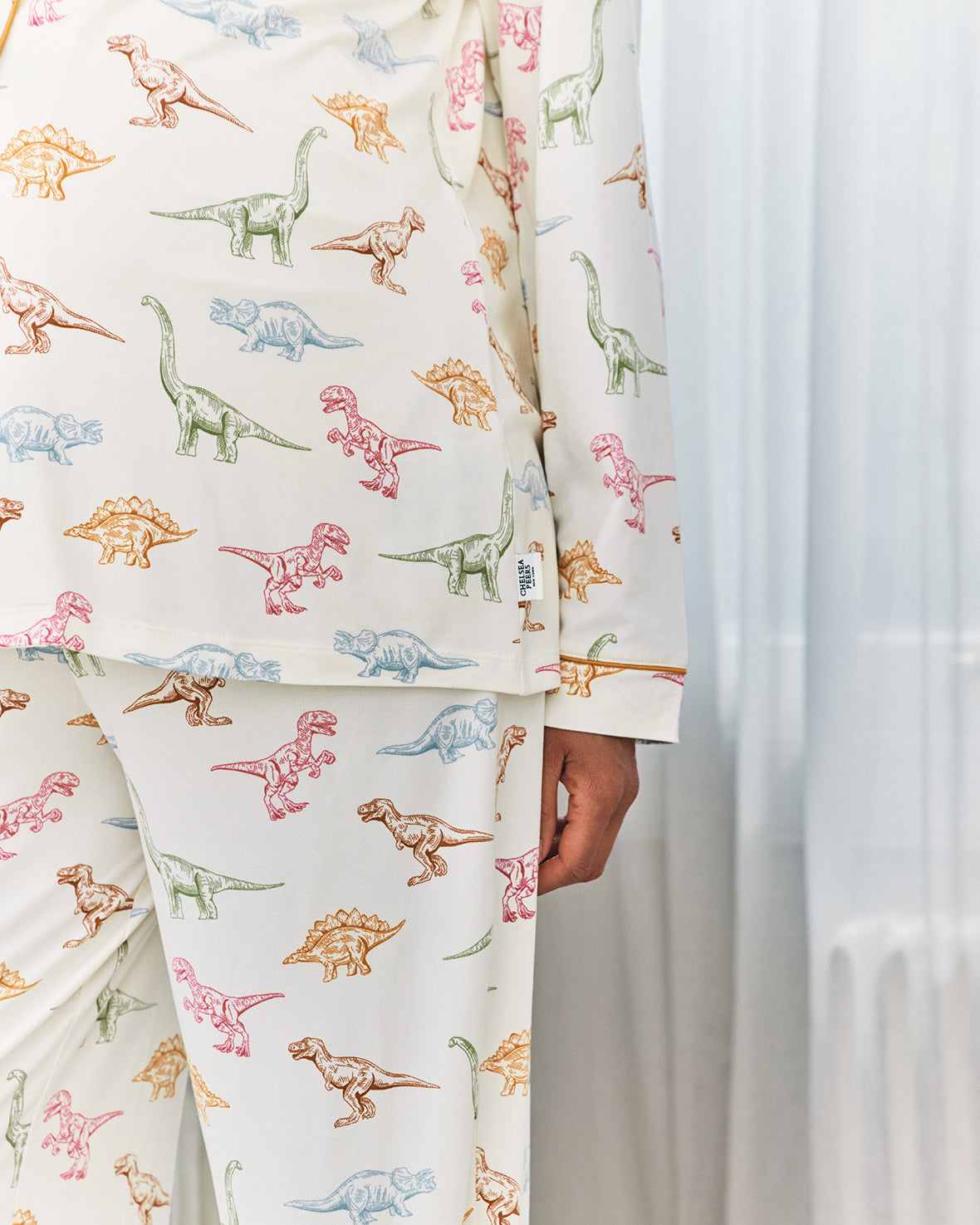 Maternity Dinosaur Print Long Pyjama Set