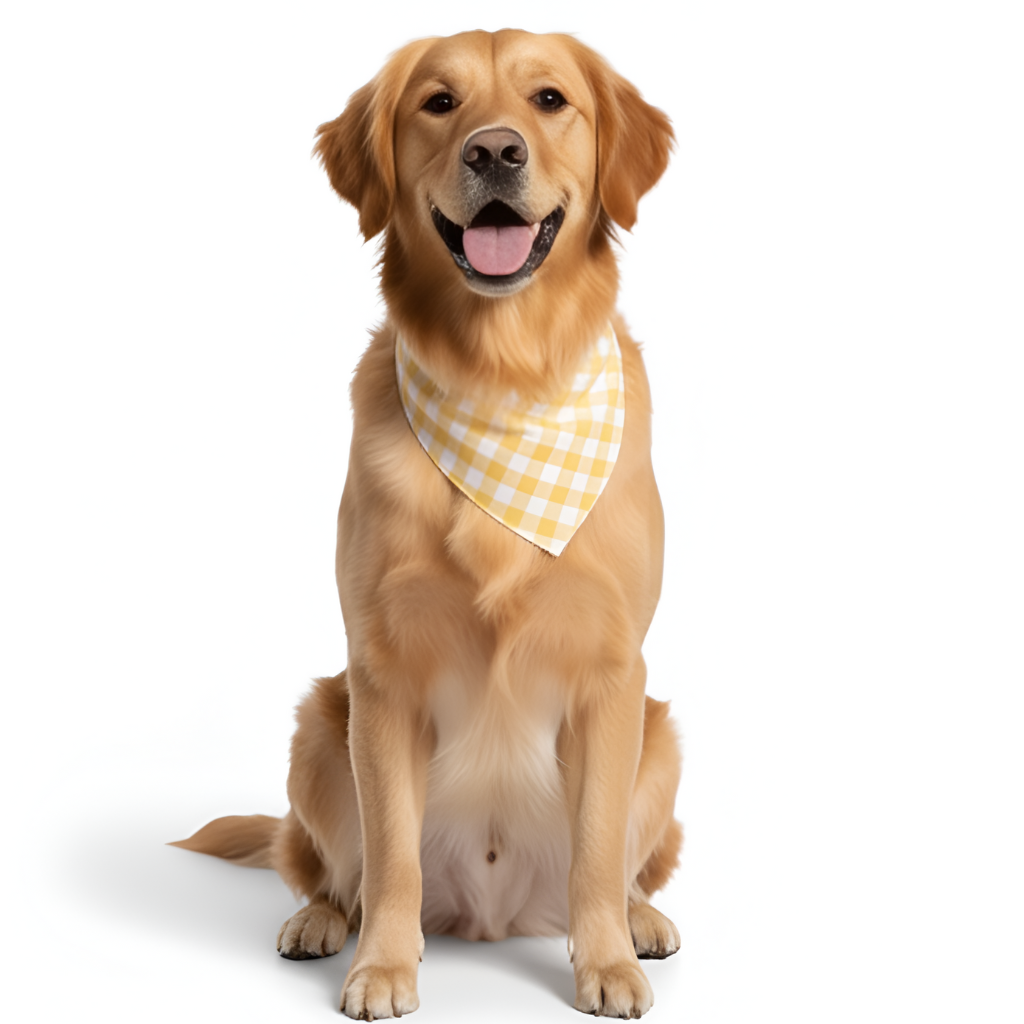 Festive Christmas Checkered All Over Print Family Matching Pajama Set