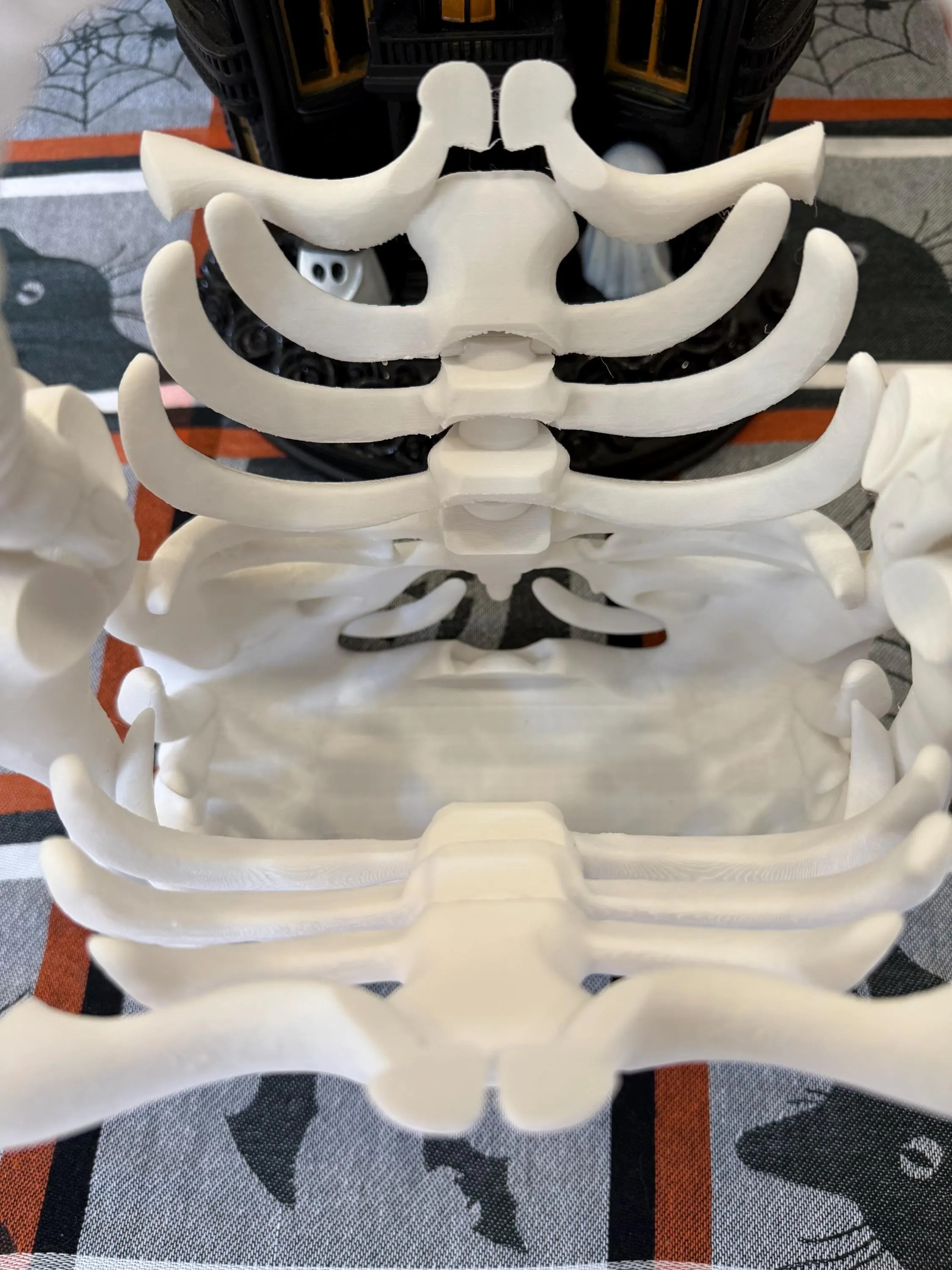 2025 Halloween Skeleton Rib Cage Handbag