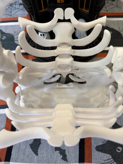 2025 Halloween Skeleton Rib Cage Handbag