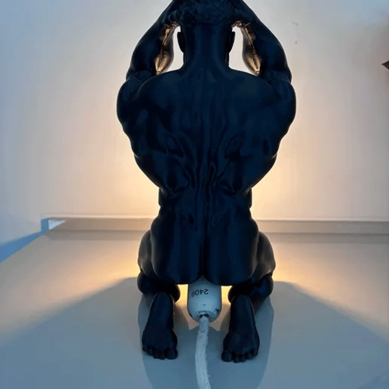 Artistic Lamp