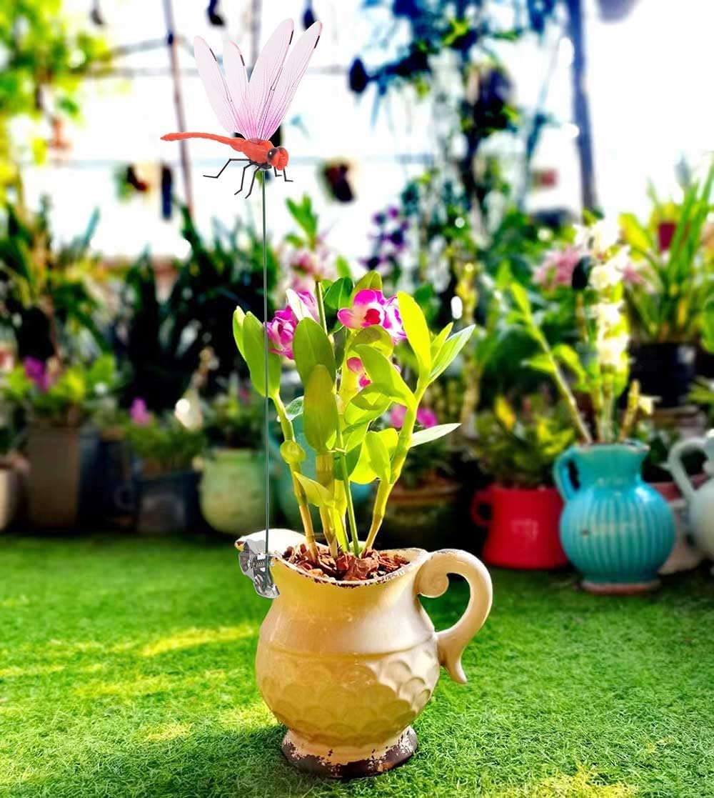 2026 Summer Hot Sale 49% OFF🔥Dragonfly Clip Bug Repe Lent