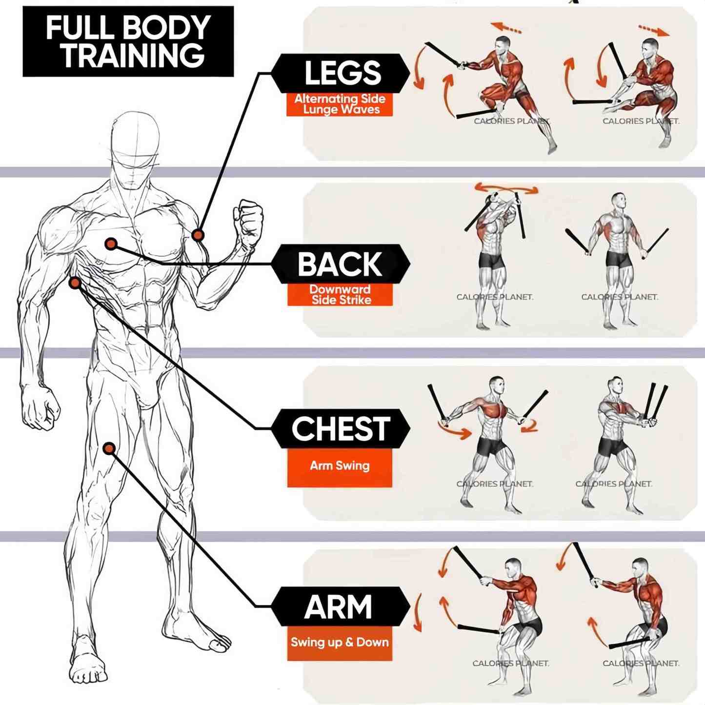 💥 Intense Fitness Training Ropes | Perfect for Home & Gym 🏠