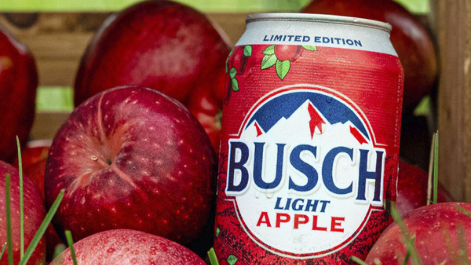 busch light apple