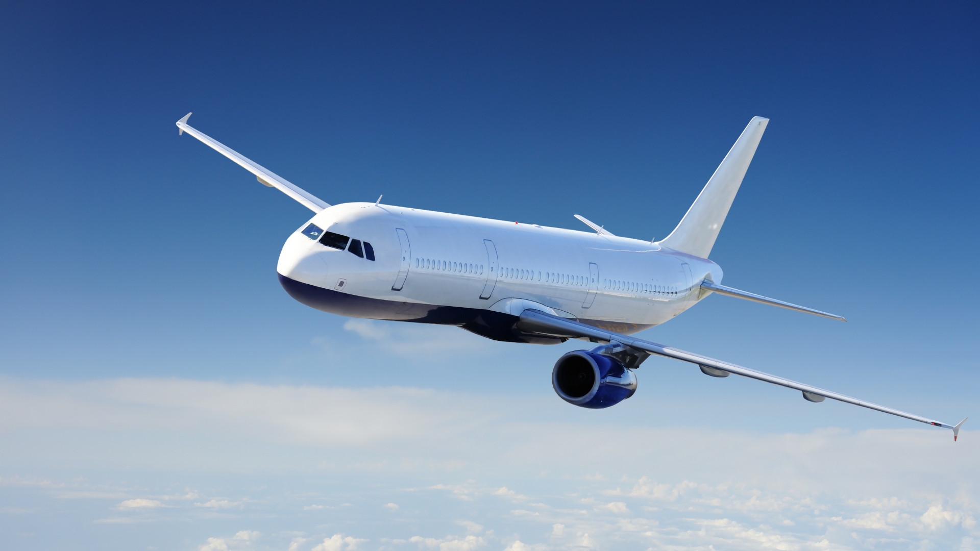by plane